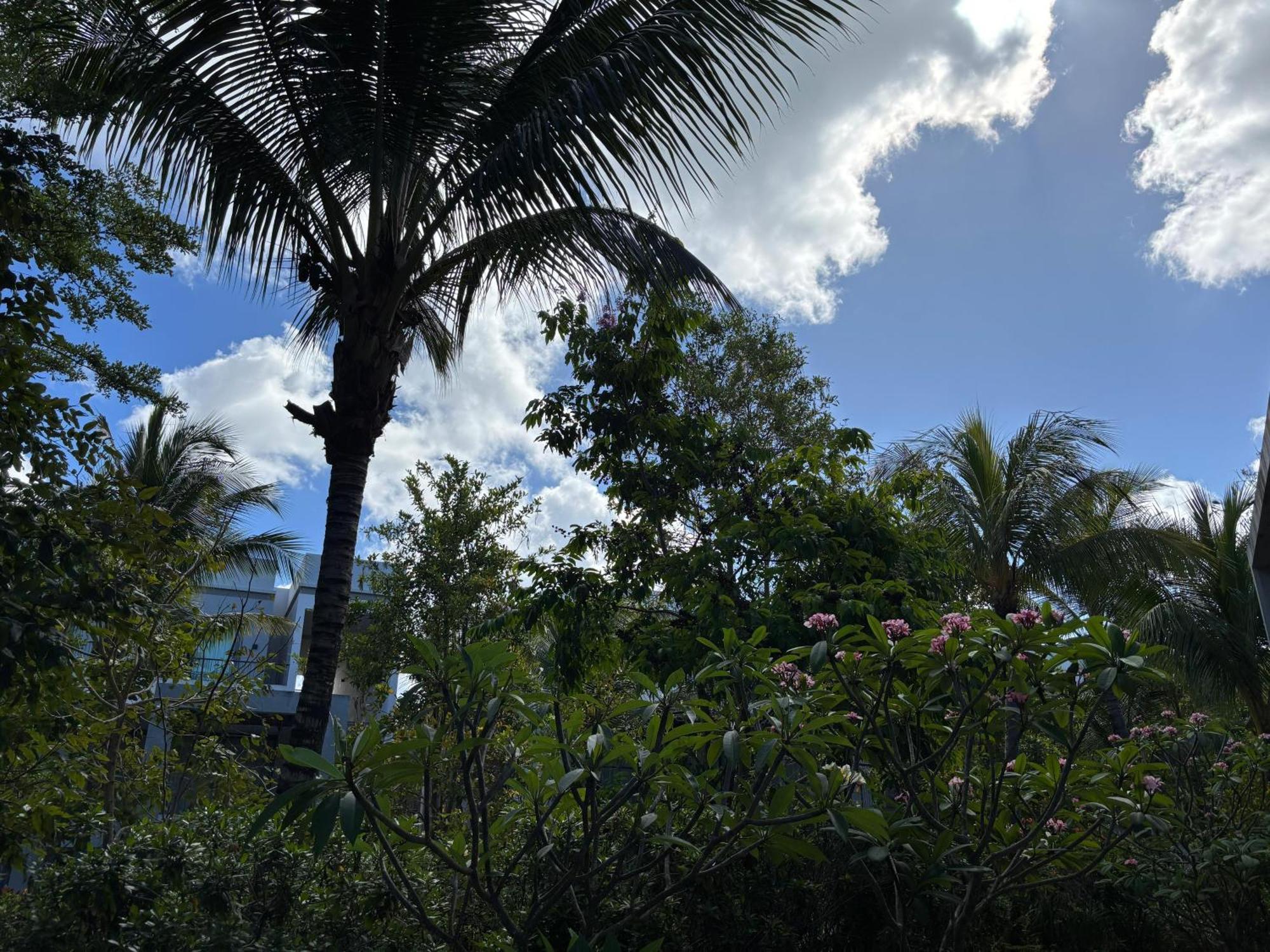 Apartamento Mont Choisy Le Parc By Pam Golding Exterior foto